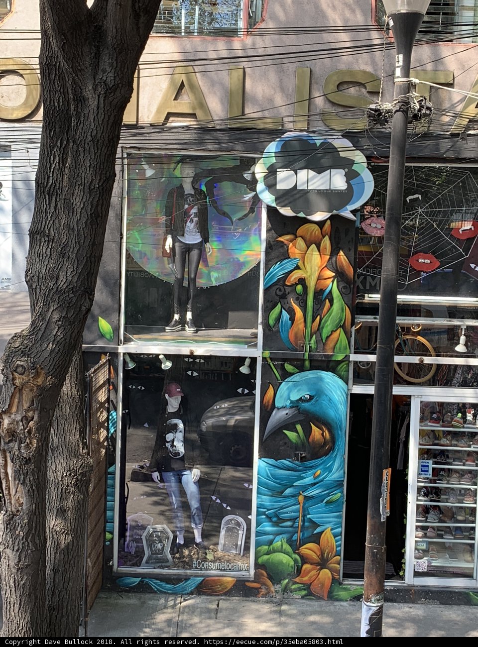 Artistic Storefront with Mural