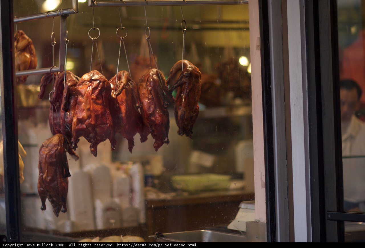 Ducks on Display