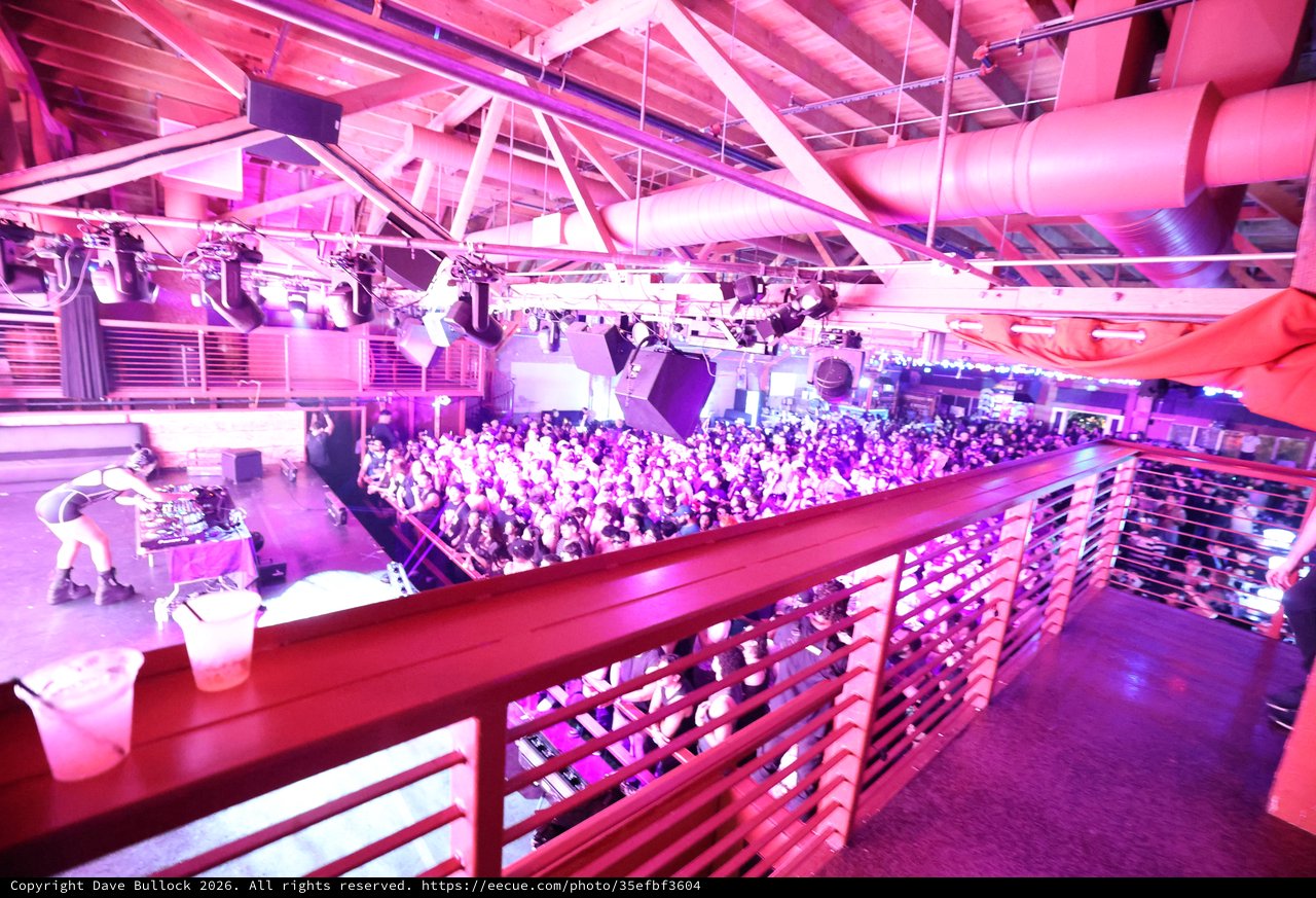 Massive Crowd Packed Under Pink Lights at Wobbleland