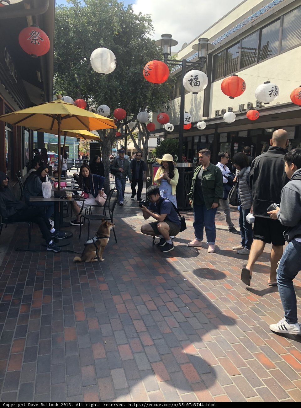 Red Lanterns Illuminate Bustling Plaza