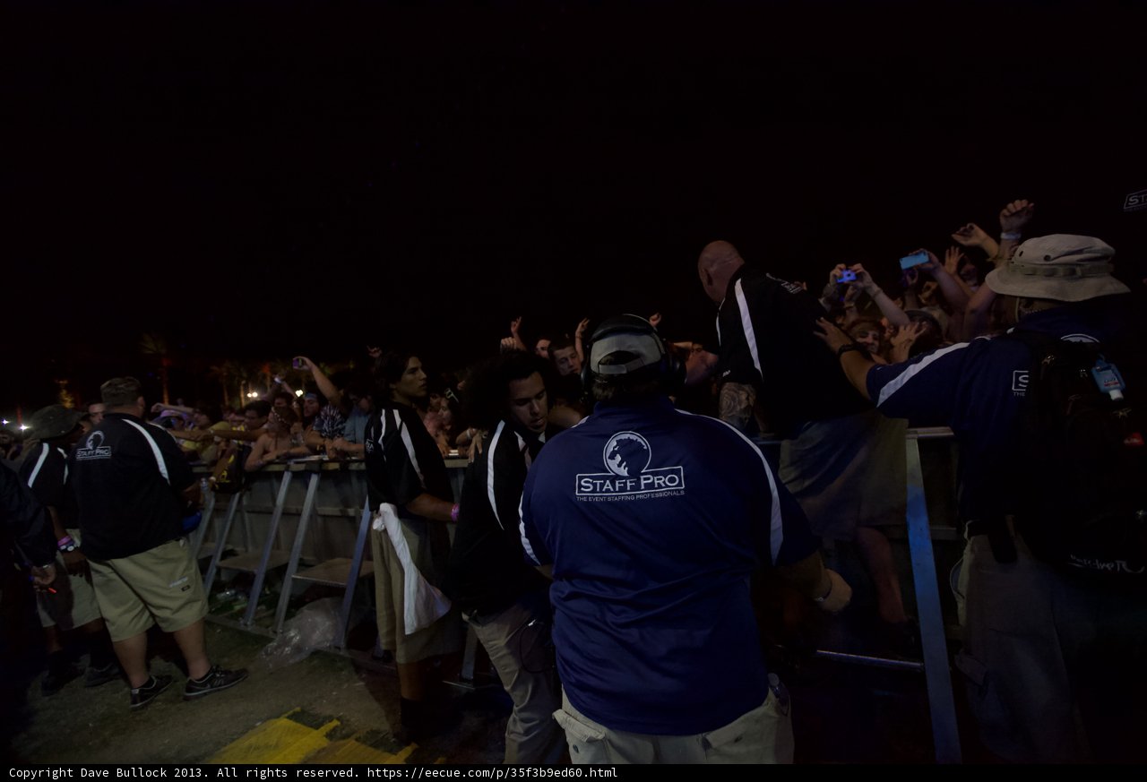 High Energy Crowd at Coachella