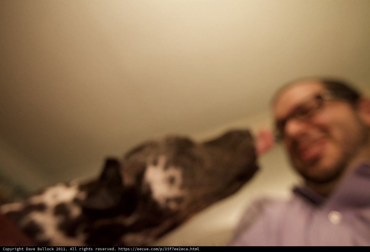 Portrait of a Man with Glasses and his Canine Companion