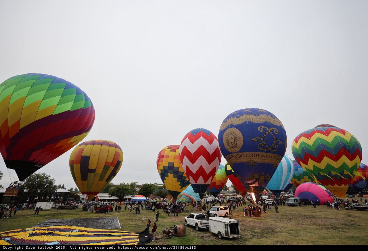 Colorful Hot Air Balloons Fill the Morning Sky