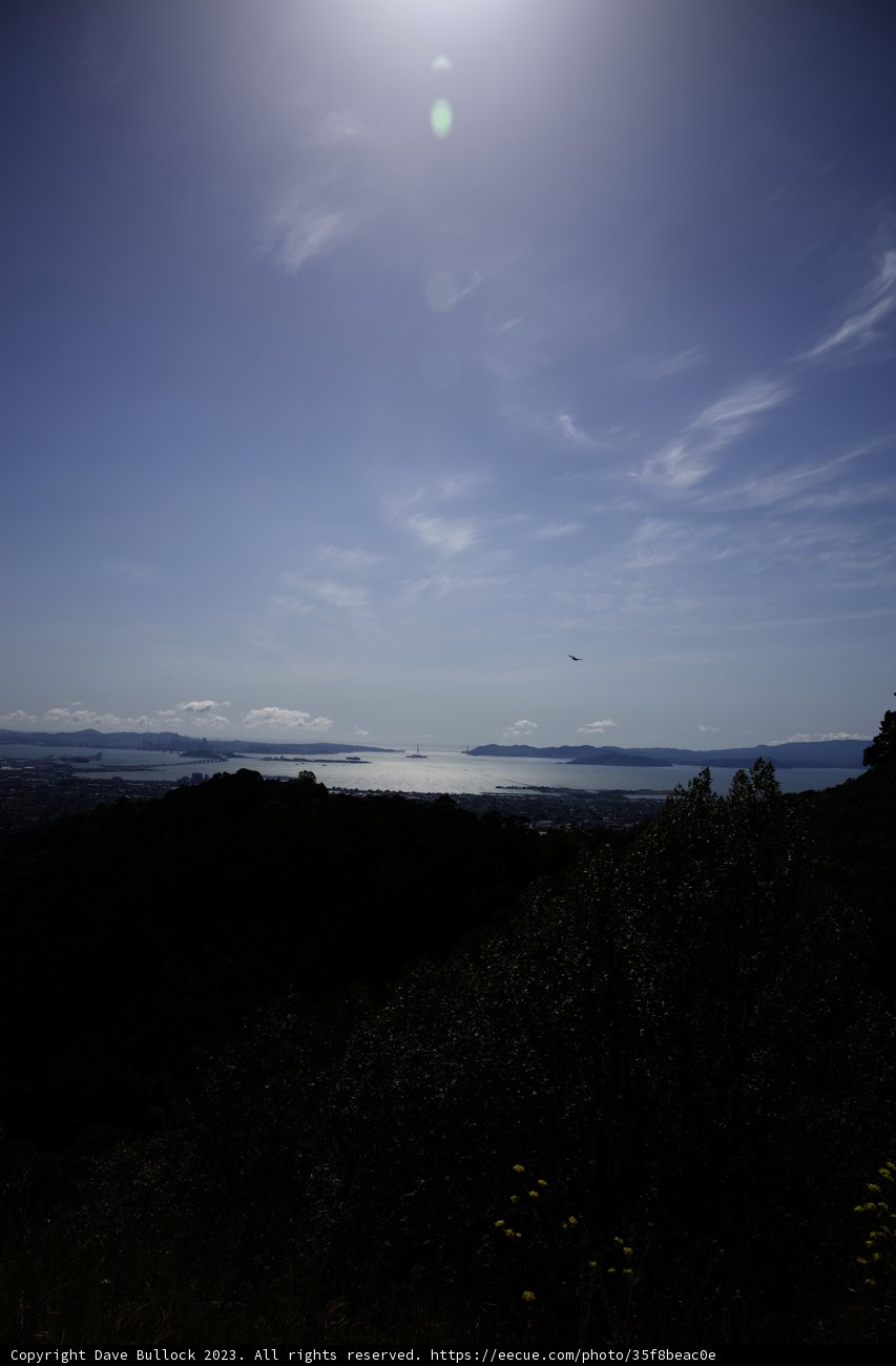 Soaring Kite Over Berkeley Skies