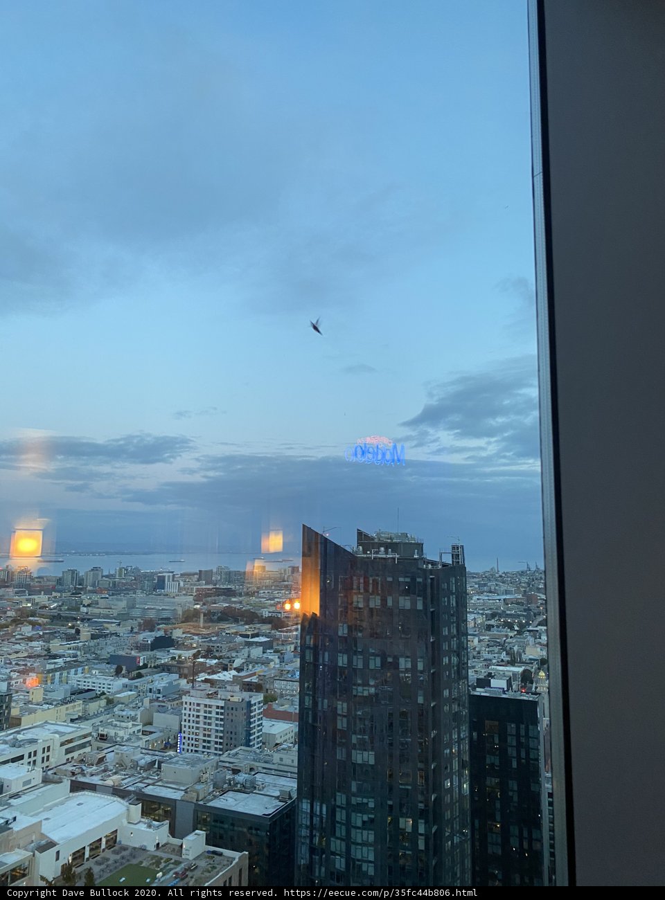 Urban Flight