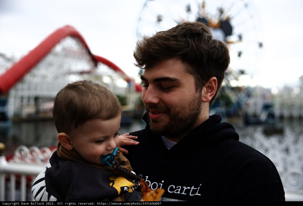Ferris Wheel Family Fun