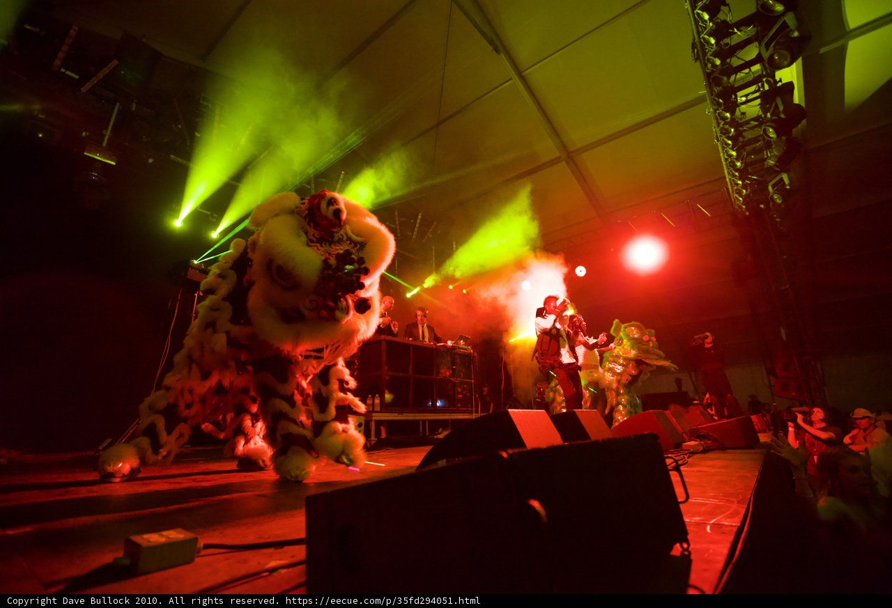 Man in Lion Costume Steals the Spotlight
