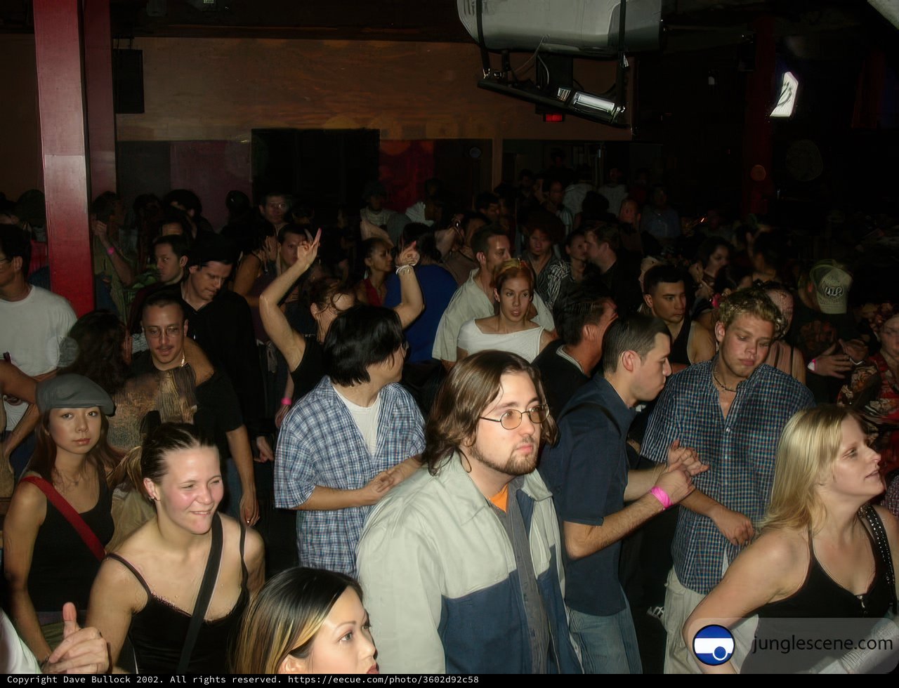 Nightclub Crowd Goes Wild While One Person Dances