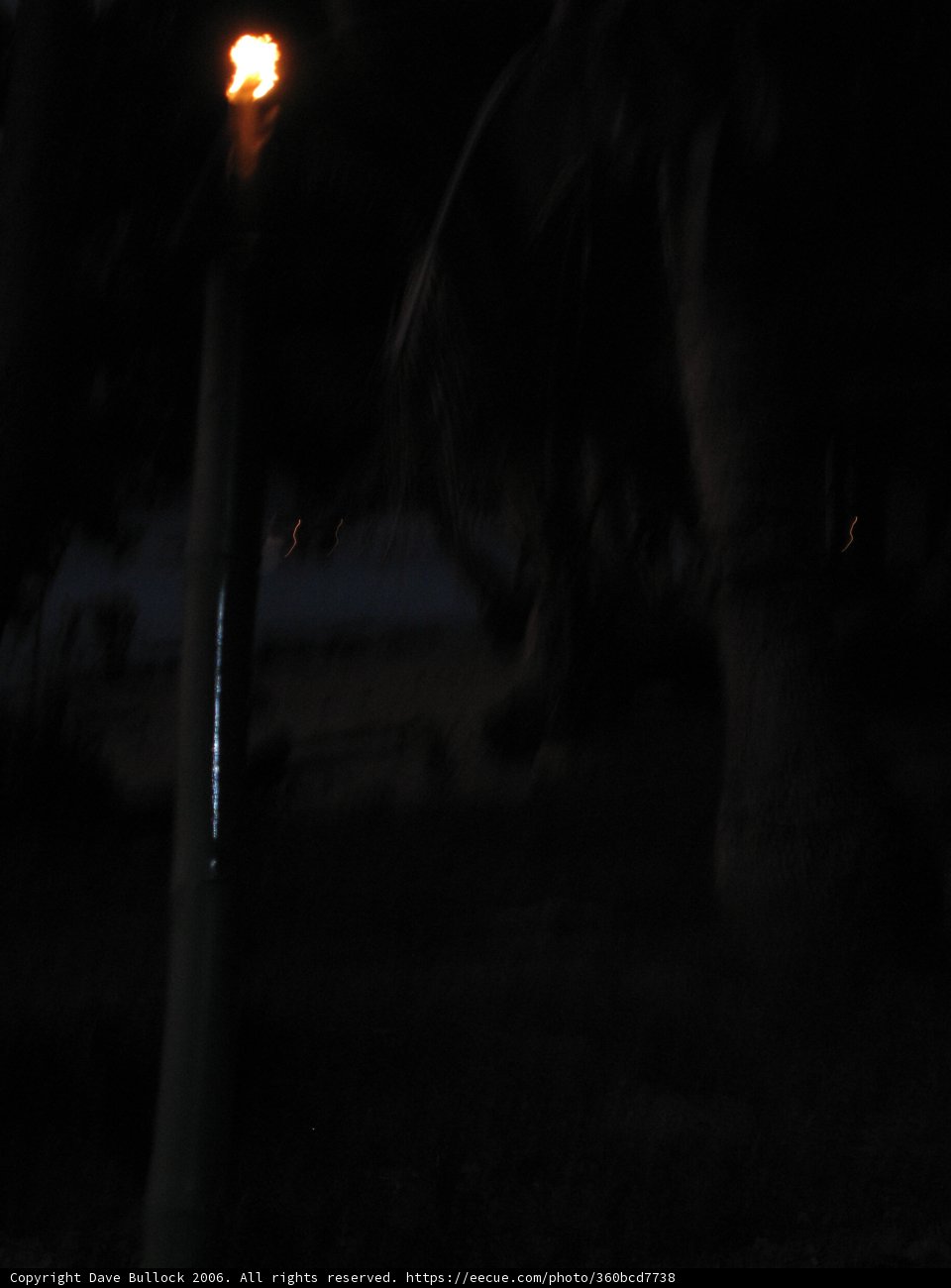 Illuminating the Night
