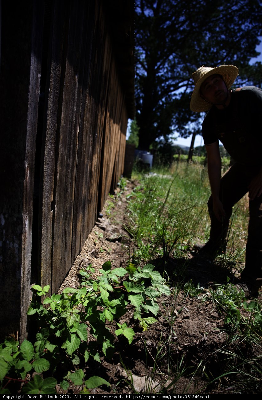Embracing Regenerative Gardening