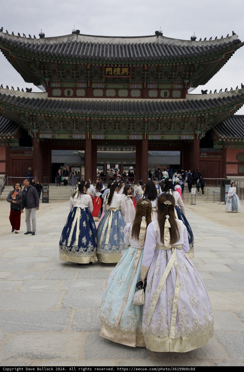 Ceremonial Elegance: A Korean Tradition