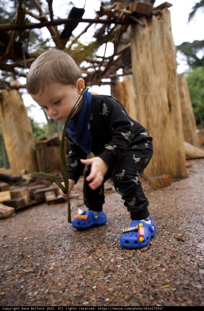 Adventure Day at Golden Gate Park