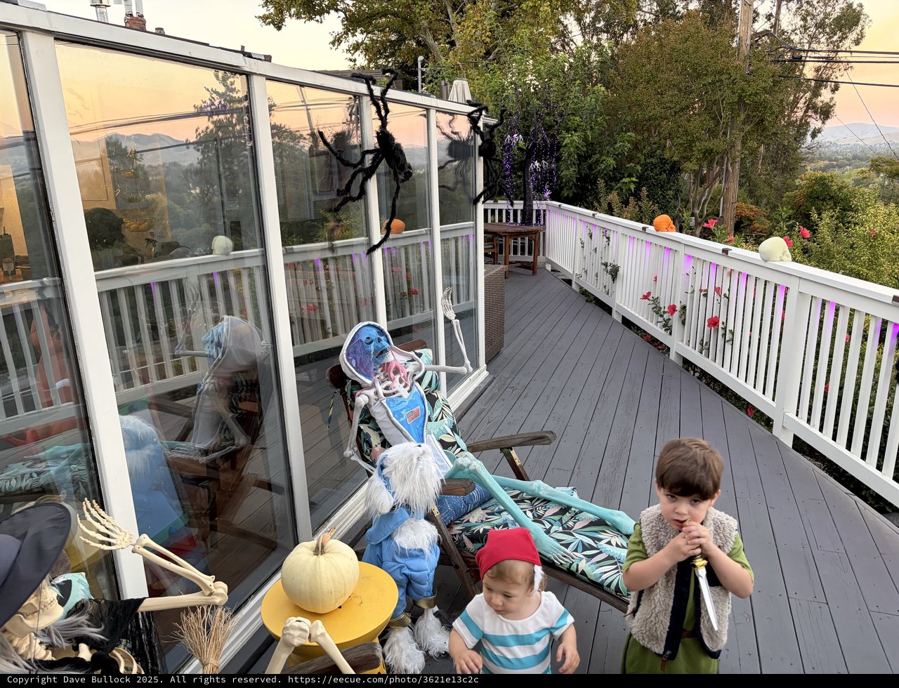 Halloween Skeleton Display on Foggy Coastal Deck