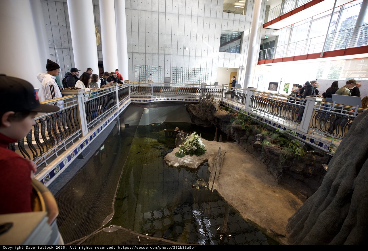 Indoor Museum Exhibit with Circular Pool and Rock Formation