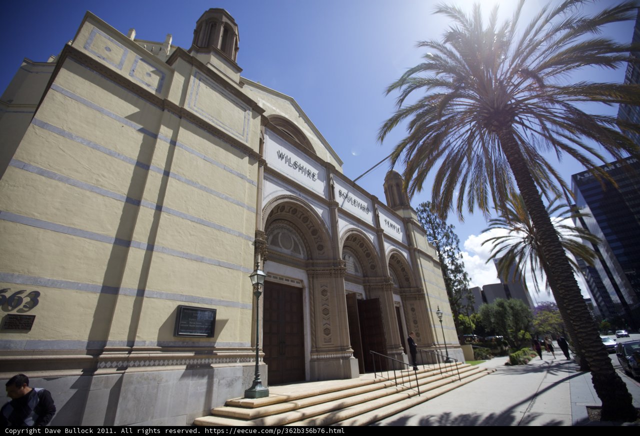 Palm Trees Stand Tall Outside Magnificent Gothic Building