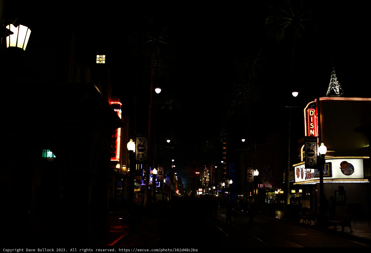 Neon City Nights