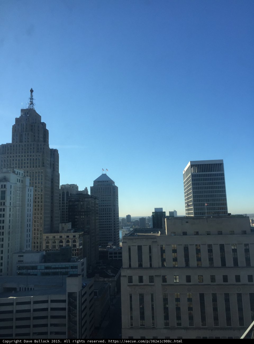 Detroit Architecture View