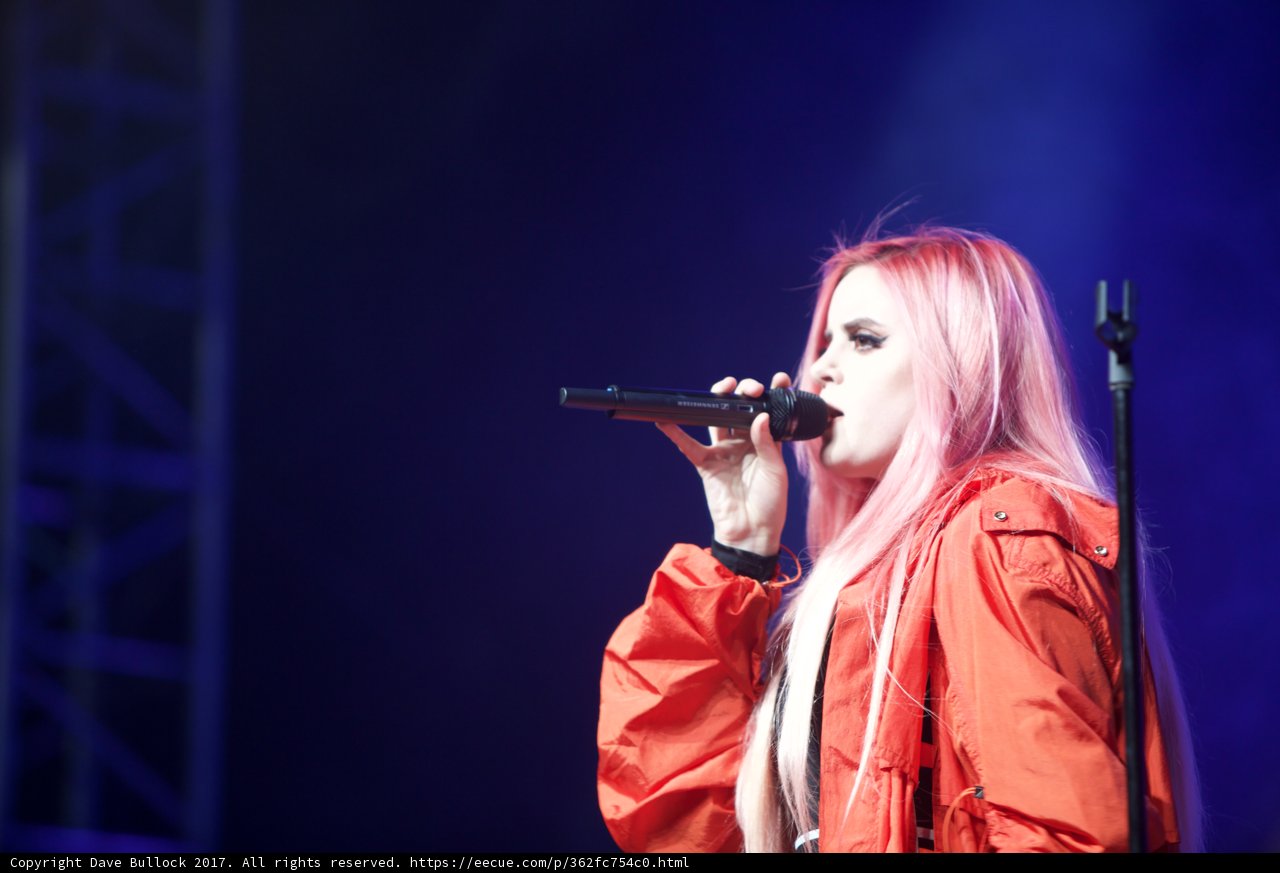 Pink-Haired Songstress