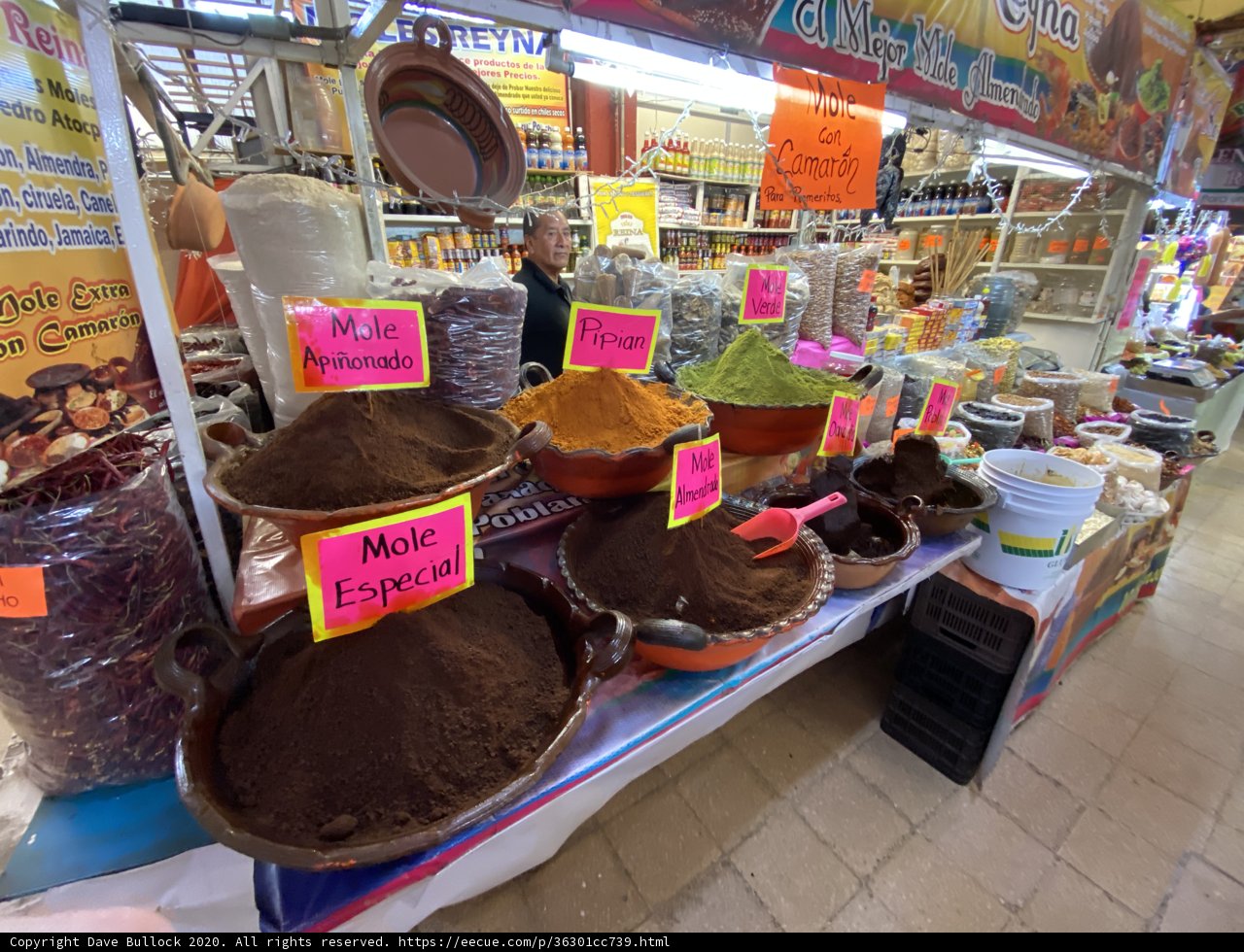 A Cultural Feast at Mercado de Coyoacan