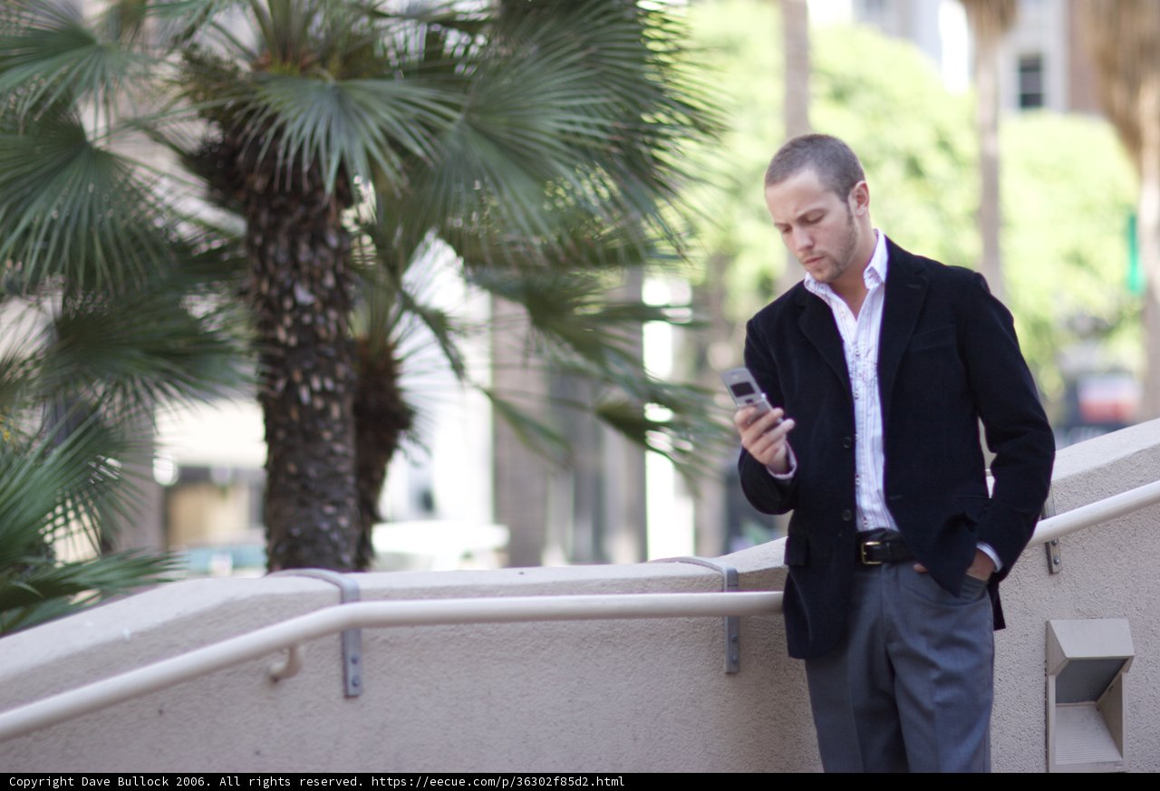 The Businessman and his Cell Phone