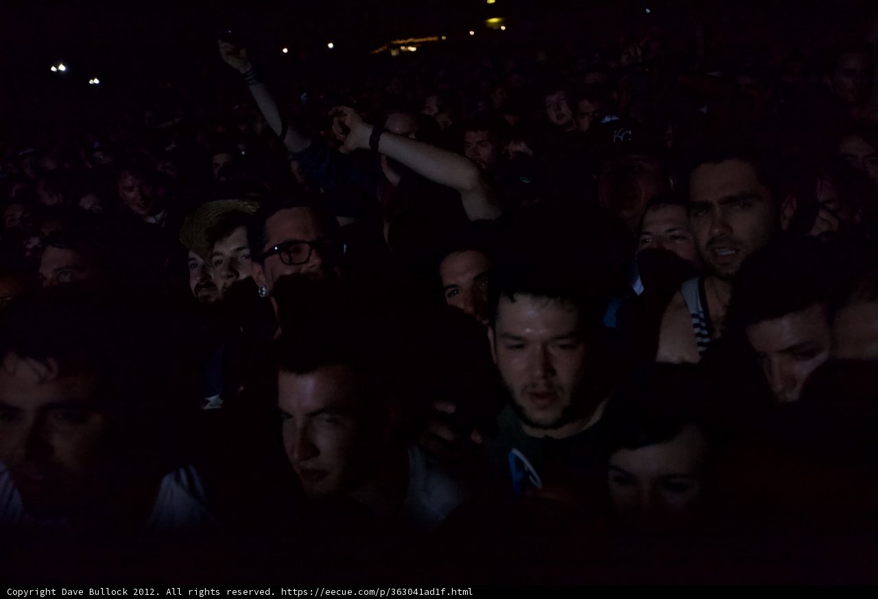 One in the Crowd