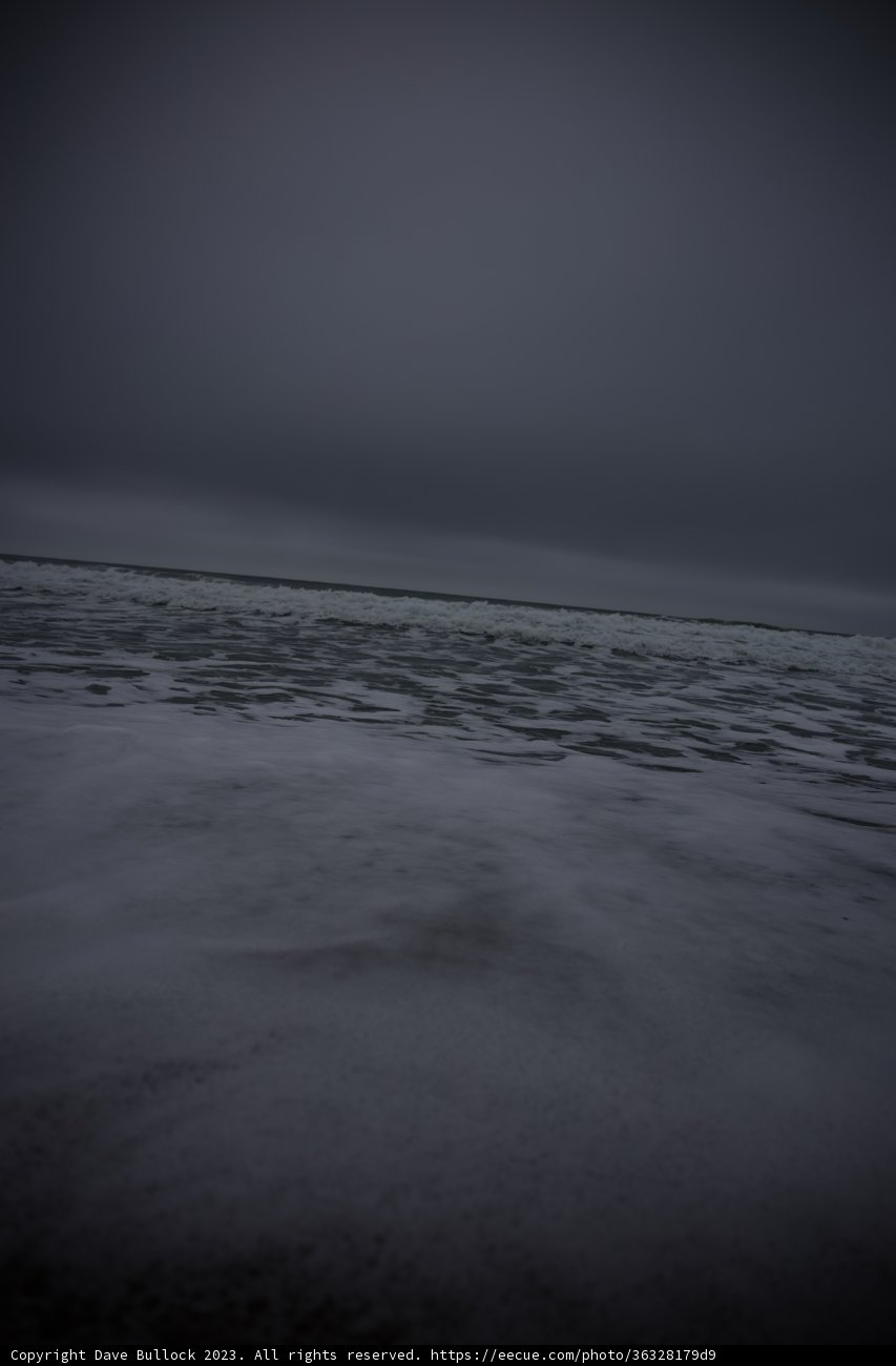 Soaring Above the Winter Ocean