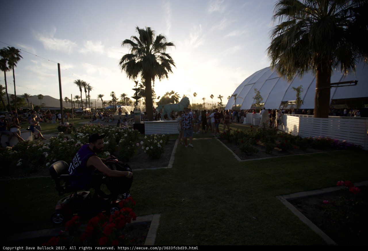 Relaxing in the Palm Tree Garden