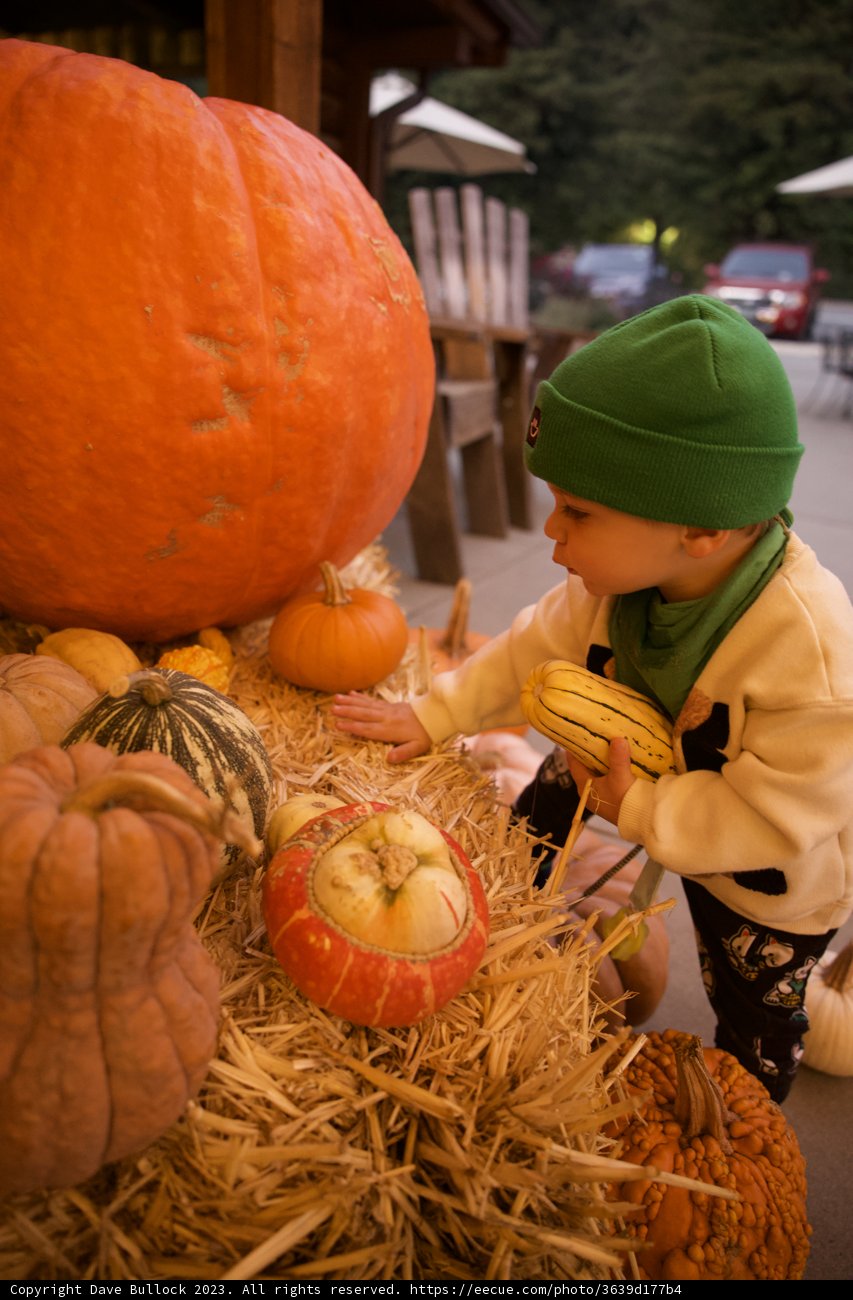 Wesley's Pumpkin Play in Big Sur