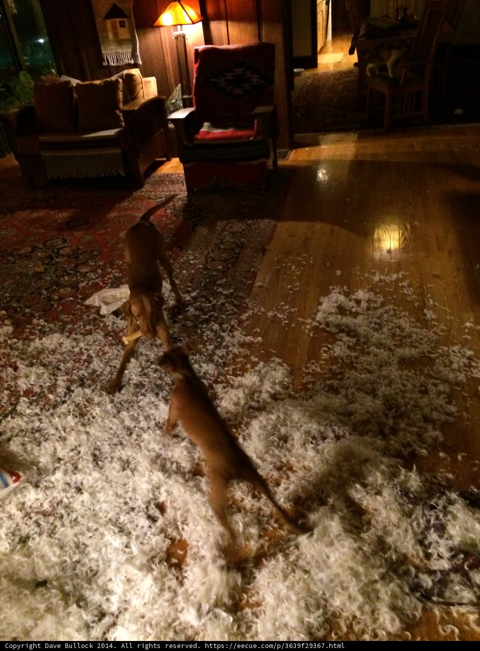 Playtime in the Living Room