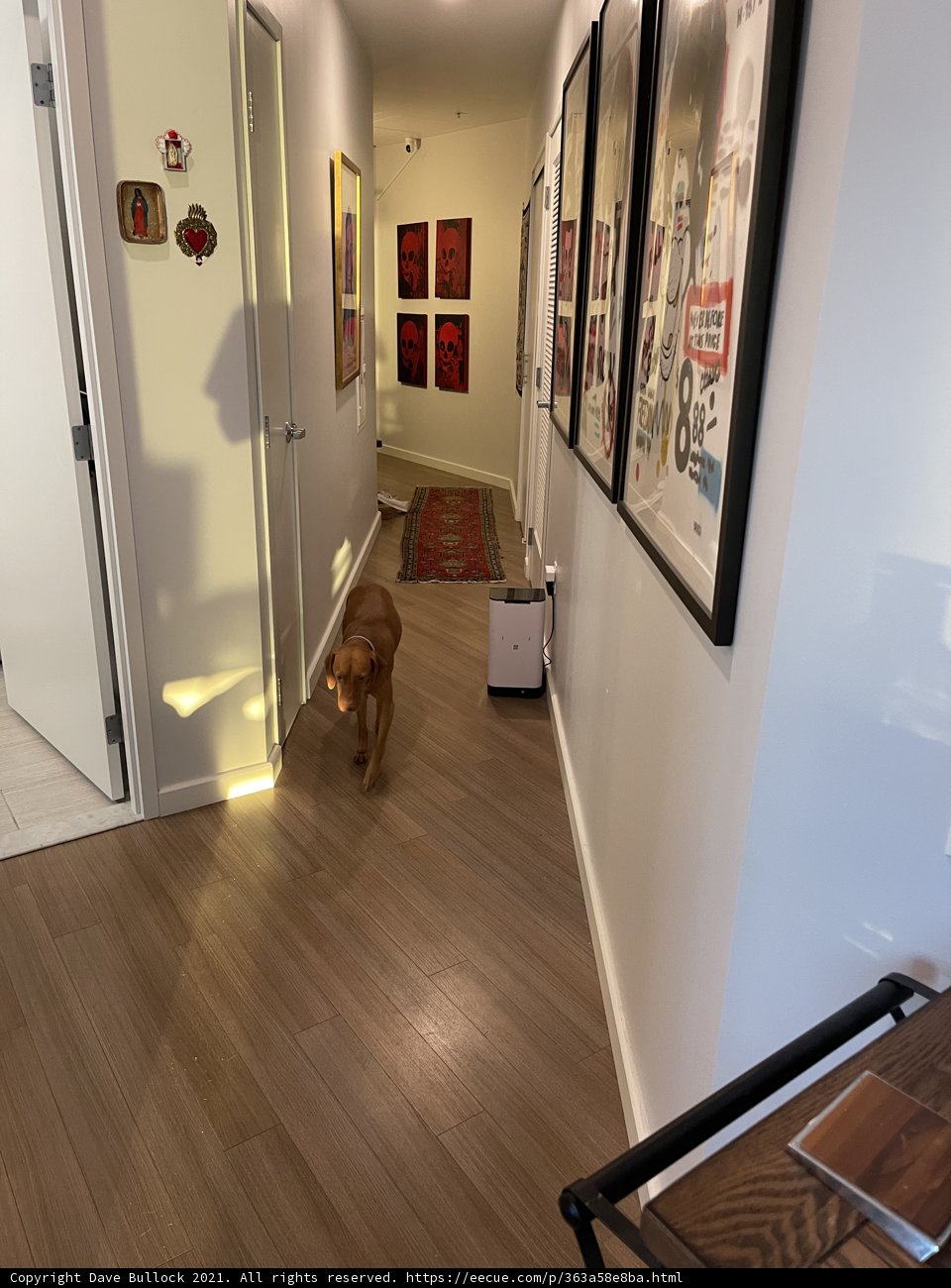 Canine Art Connoisseur