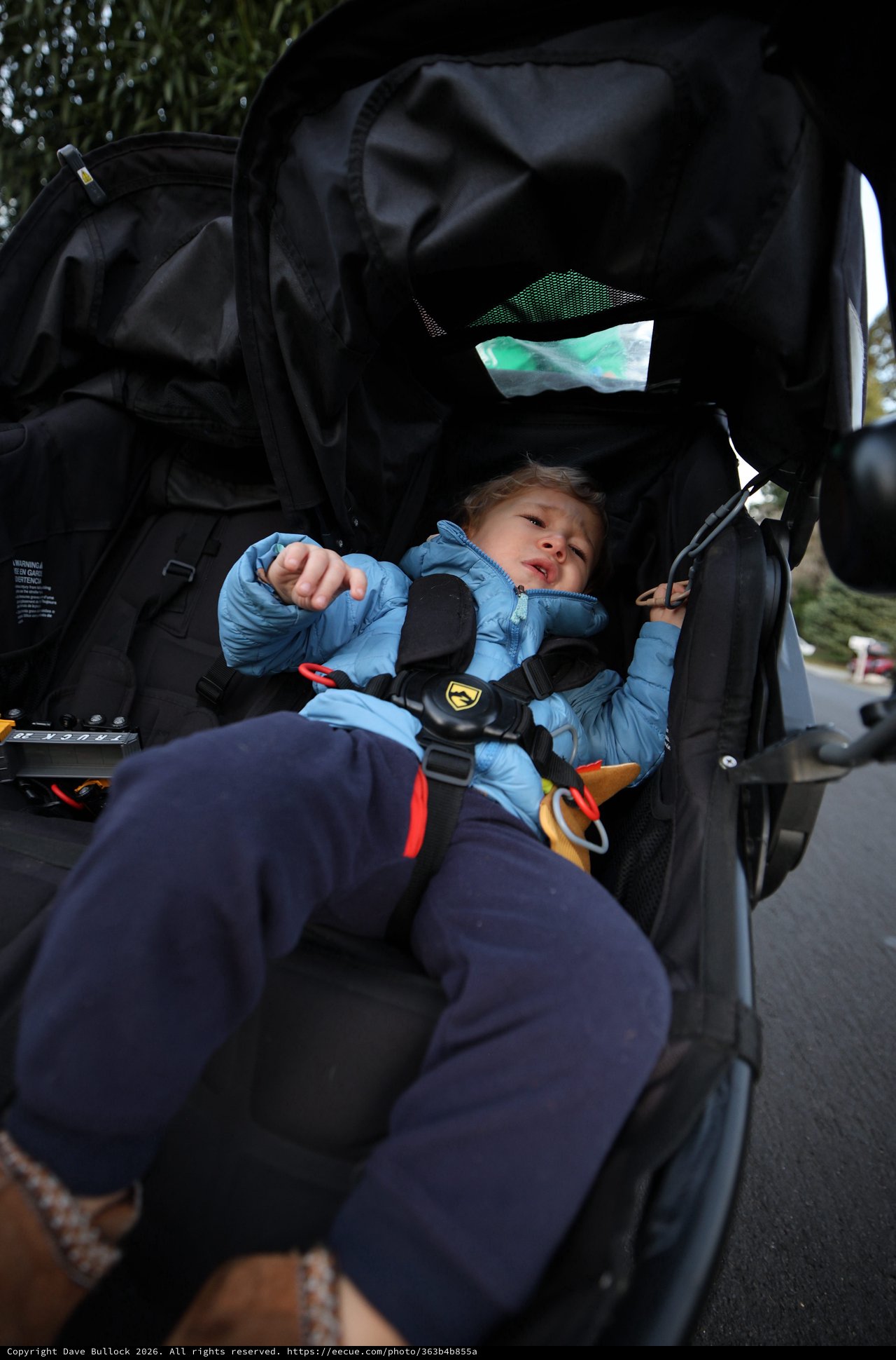 Toddler Points From Stroller on Sunday Walk