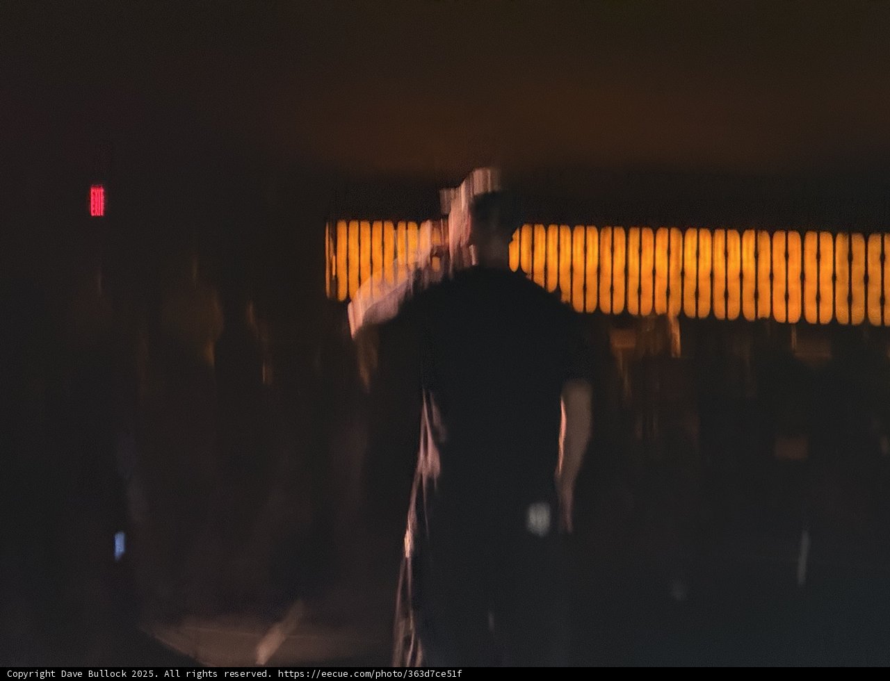 **Silhouettes in Motion**