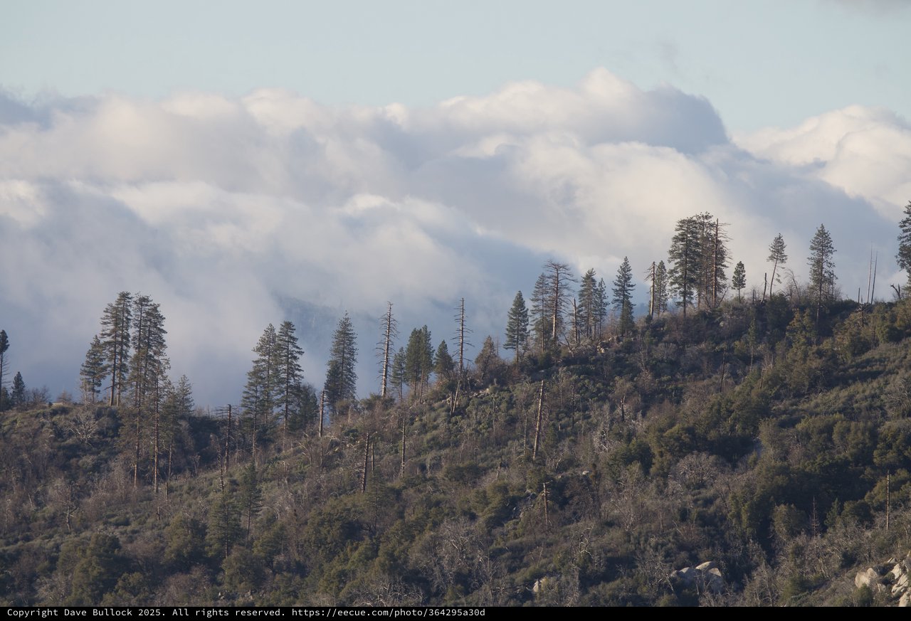 Smoke Rising Over Mountain Forest After Wildfire