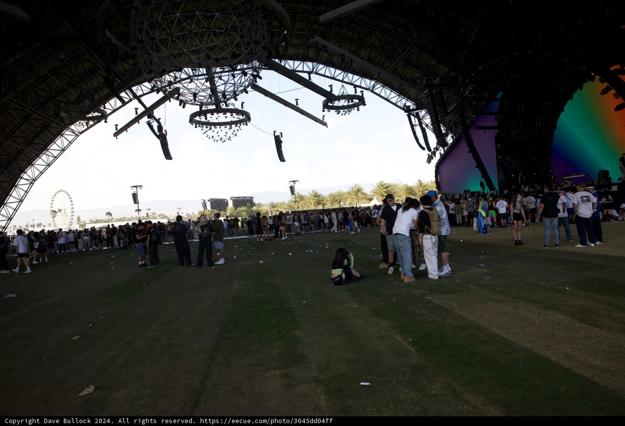 Under the Canopy: Coachella 2024