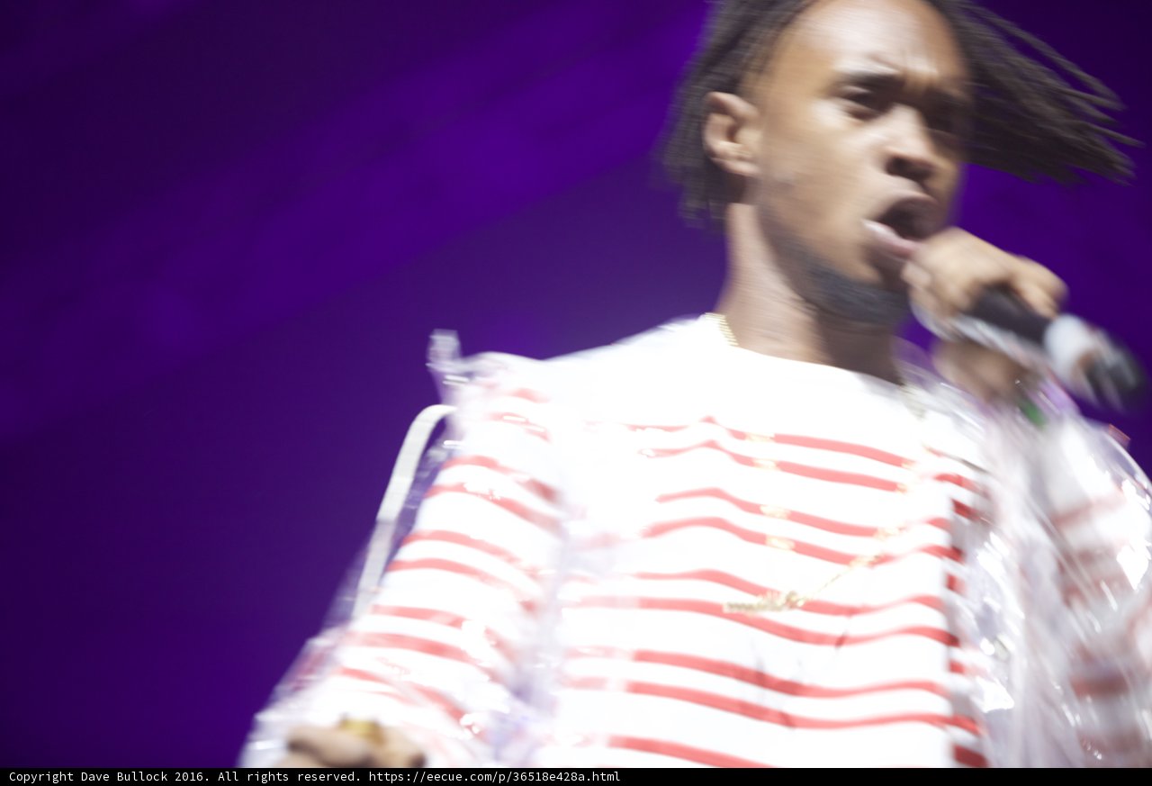 Dreadlocked Entertainer Rocks Coachella Stage