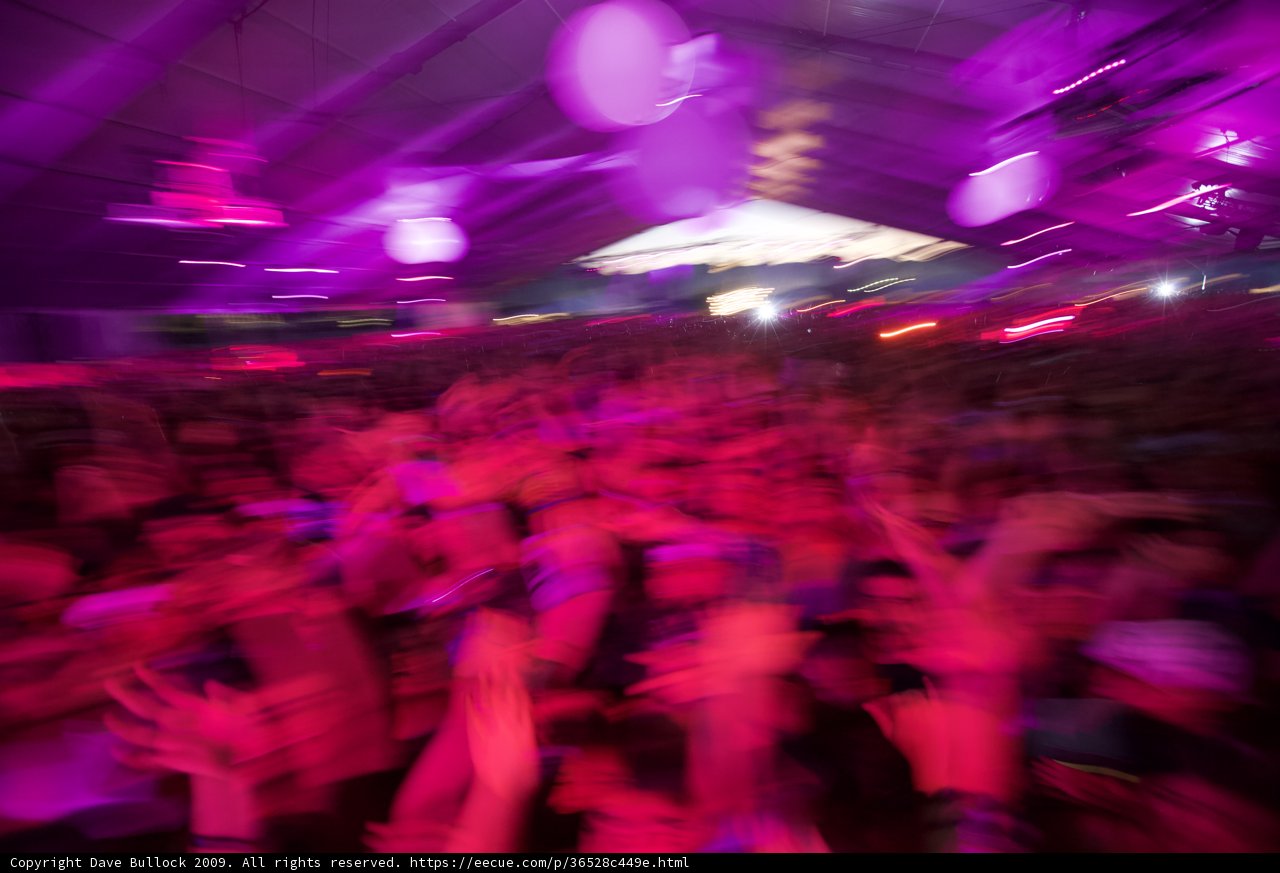 Purple Haze at Coachella