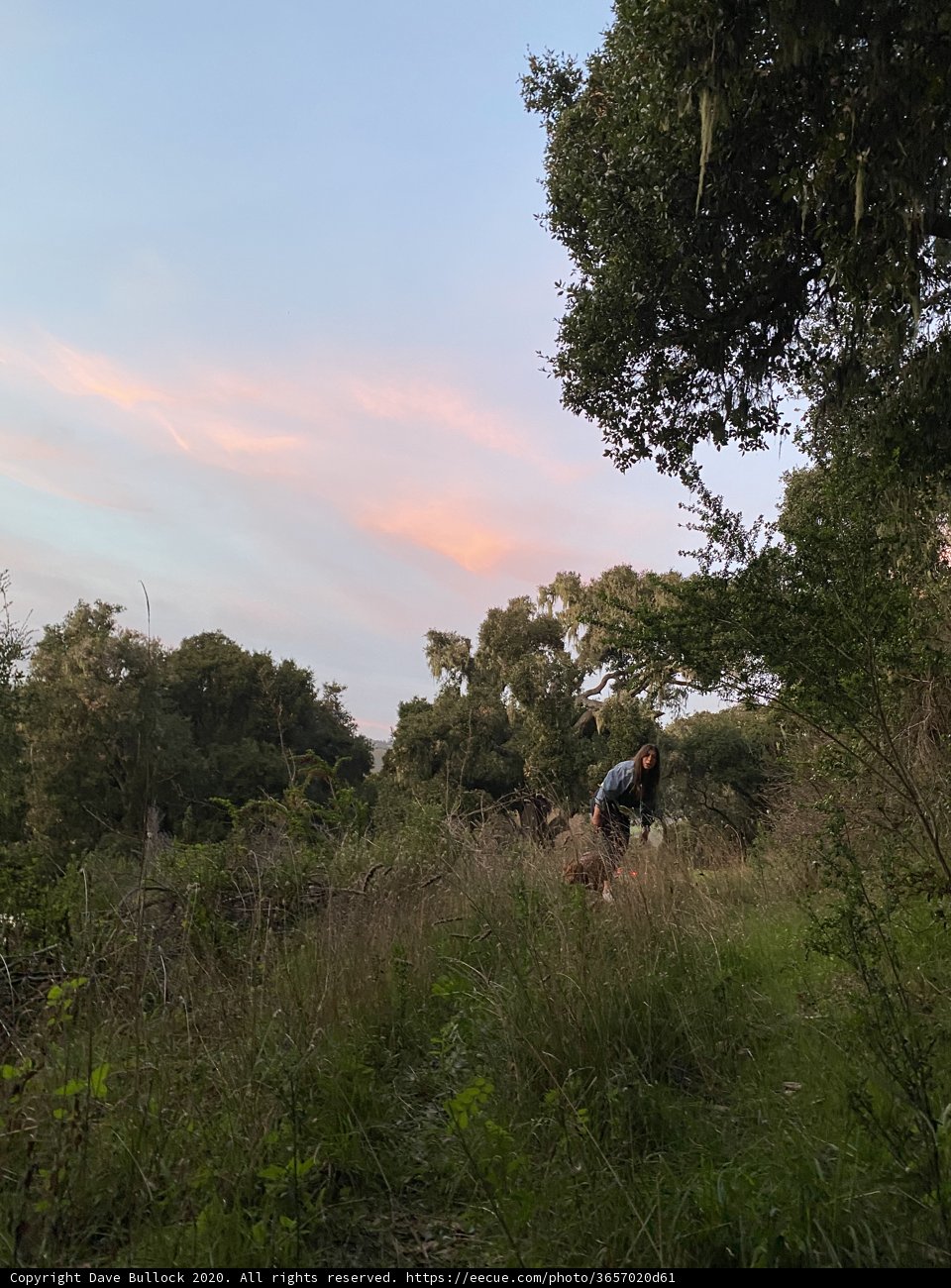 Riding into the Dusk