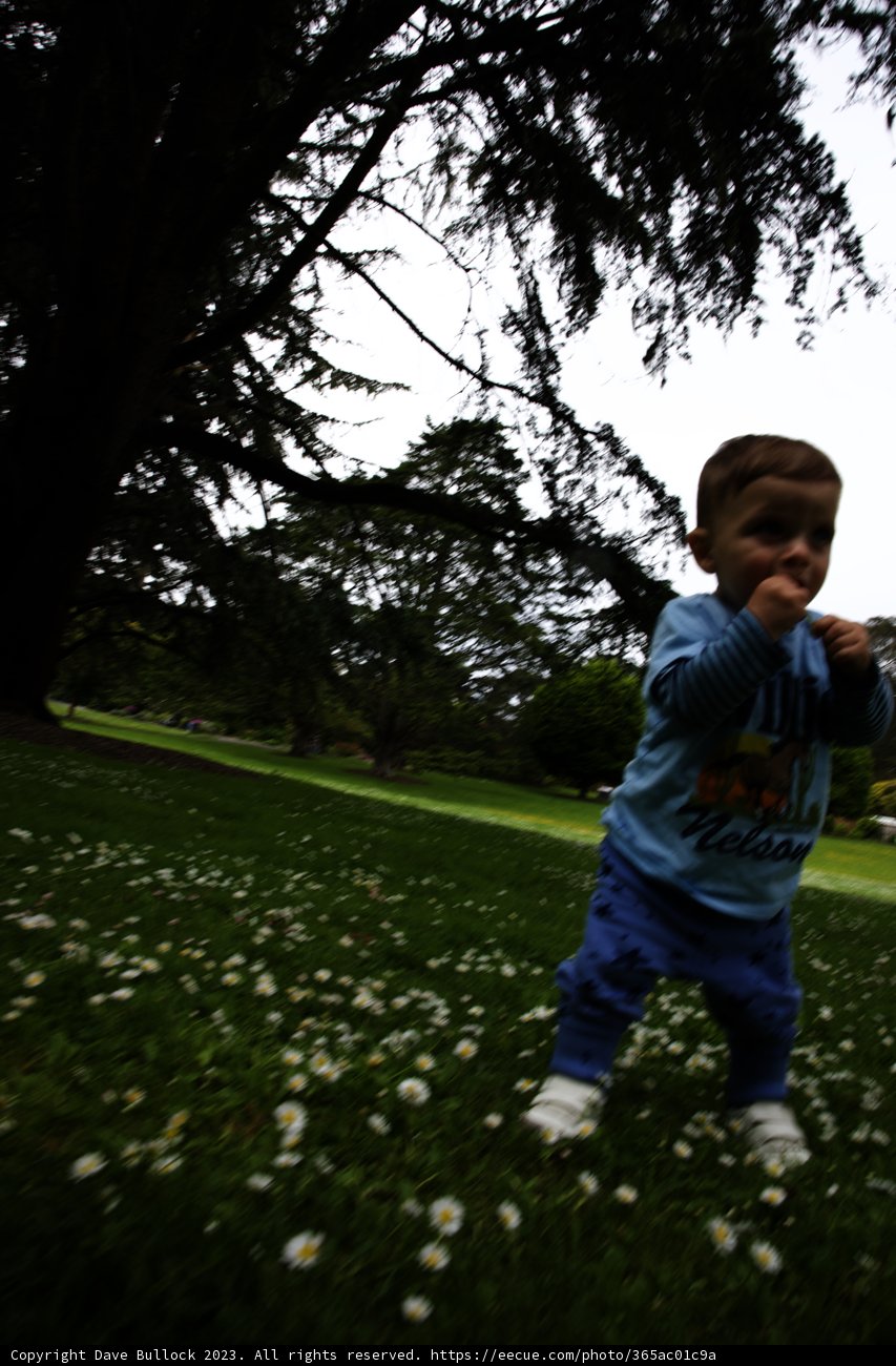 A Young Explorer in Nature