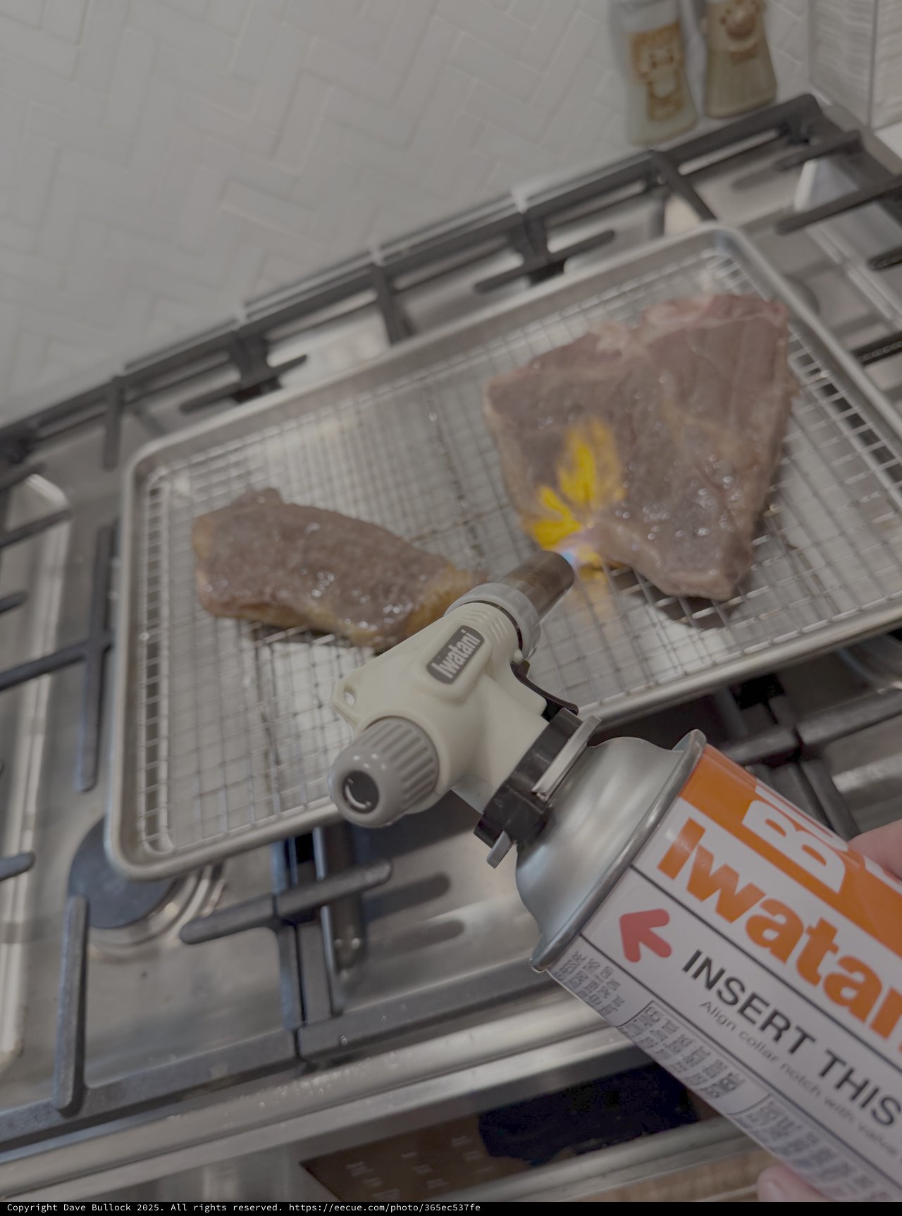 Kitchen Torch Caramelizing Raw Fish Steaks