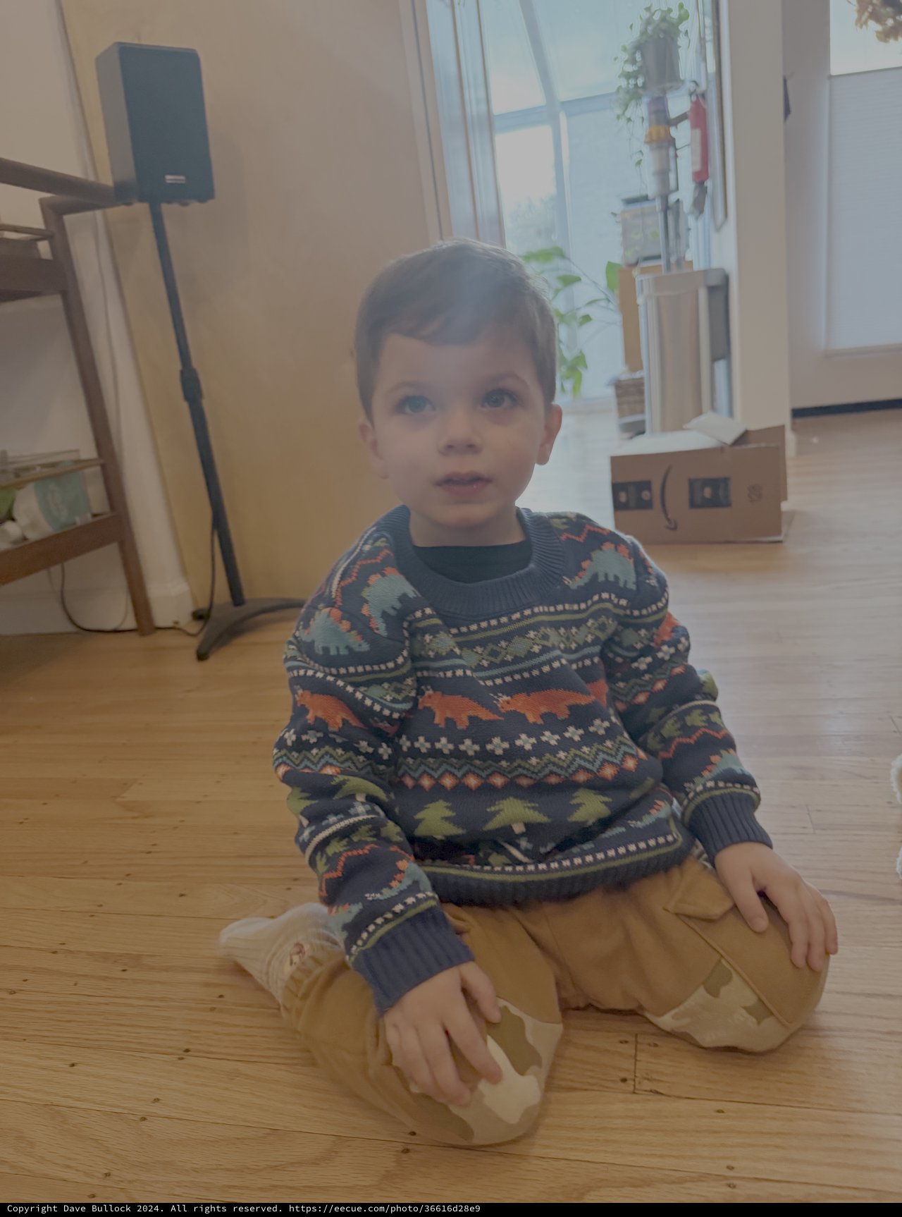 Young Child in Dinosaur Sweater Sitting on Floor