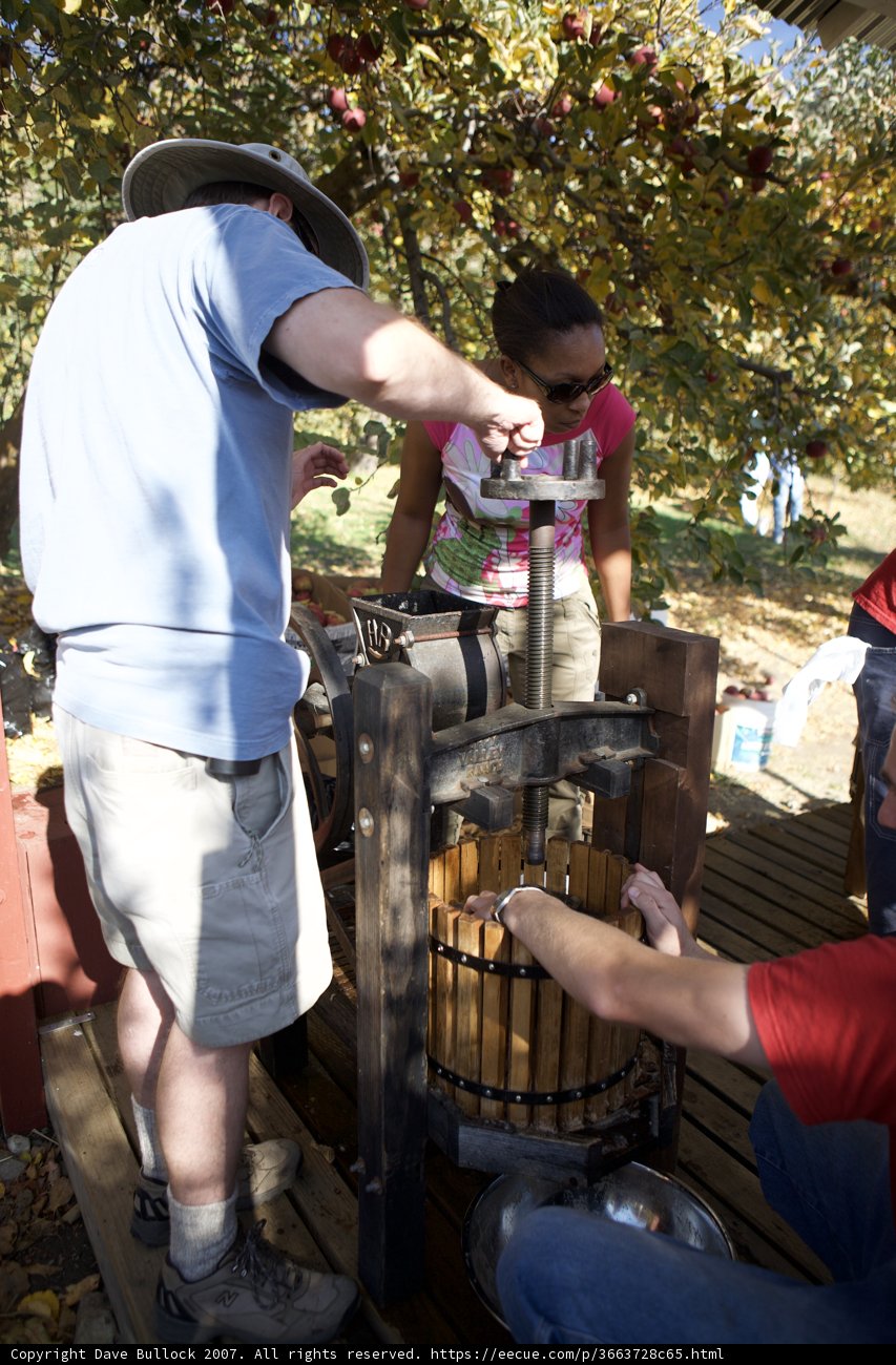 Pressing Apples