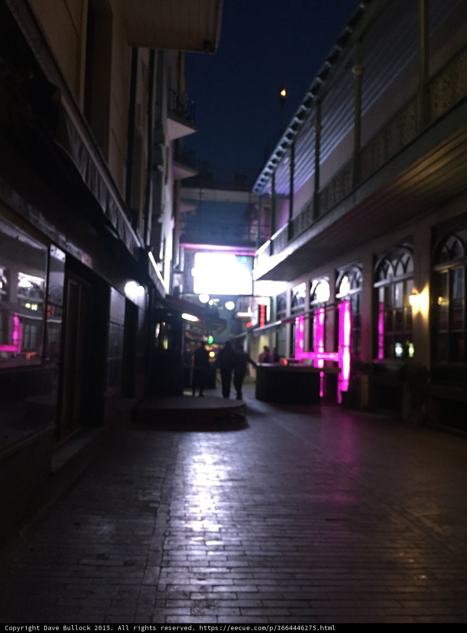 Neon-lit Night Stroll