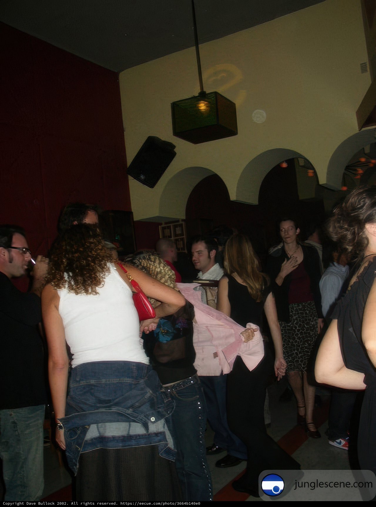 Nightclub Party with Friends