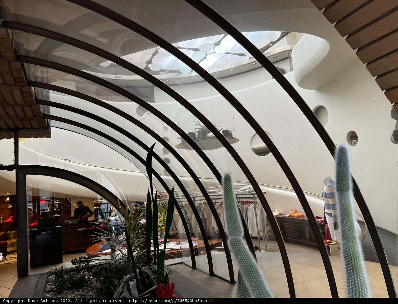 A Cactus Oasis in a Glass Arch