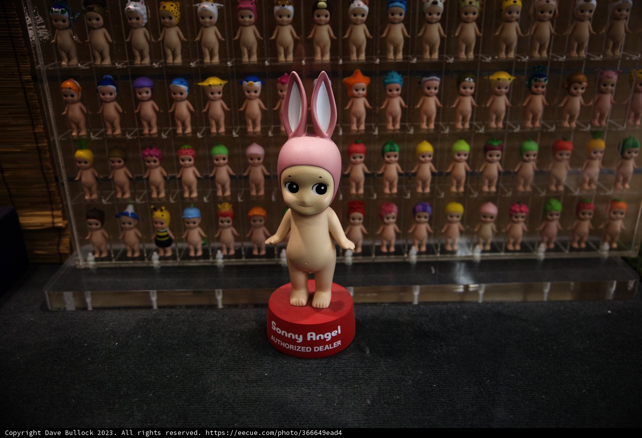 Bunny in a Pink Hat