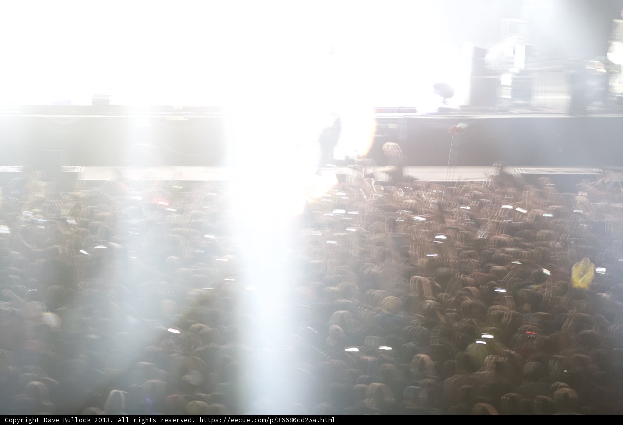 The Electric Crowd at Coachella