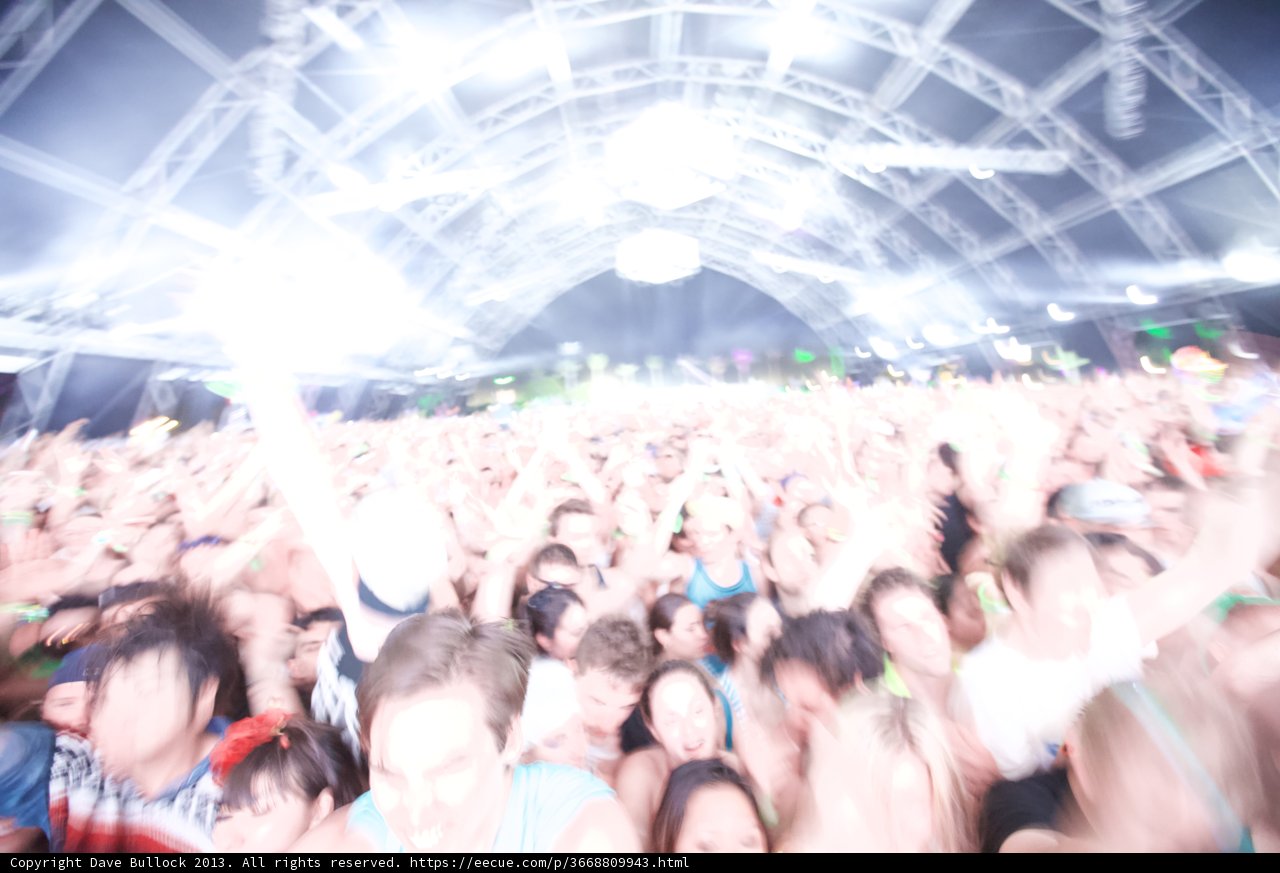 Coachella Crowd Goes Wild