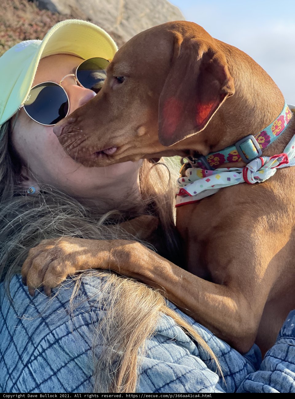 Love in the Sun