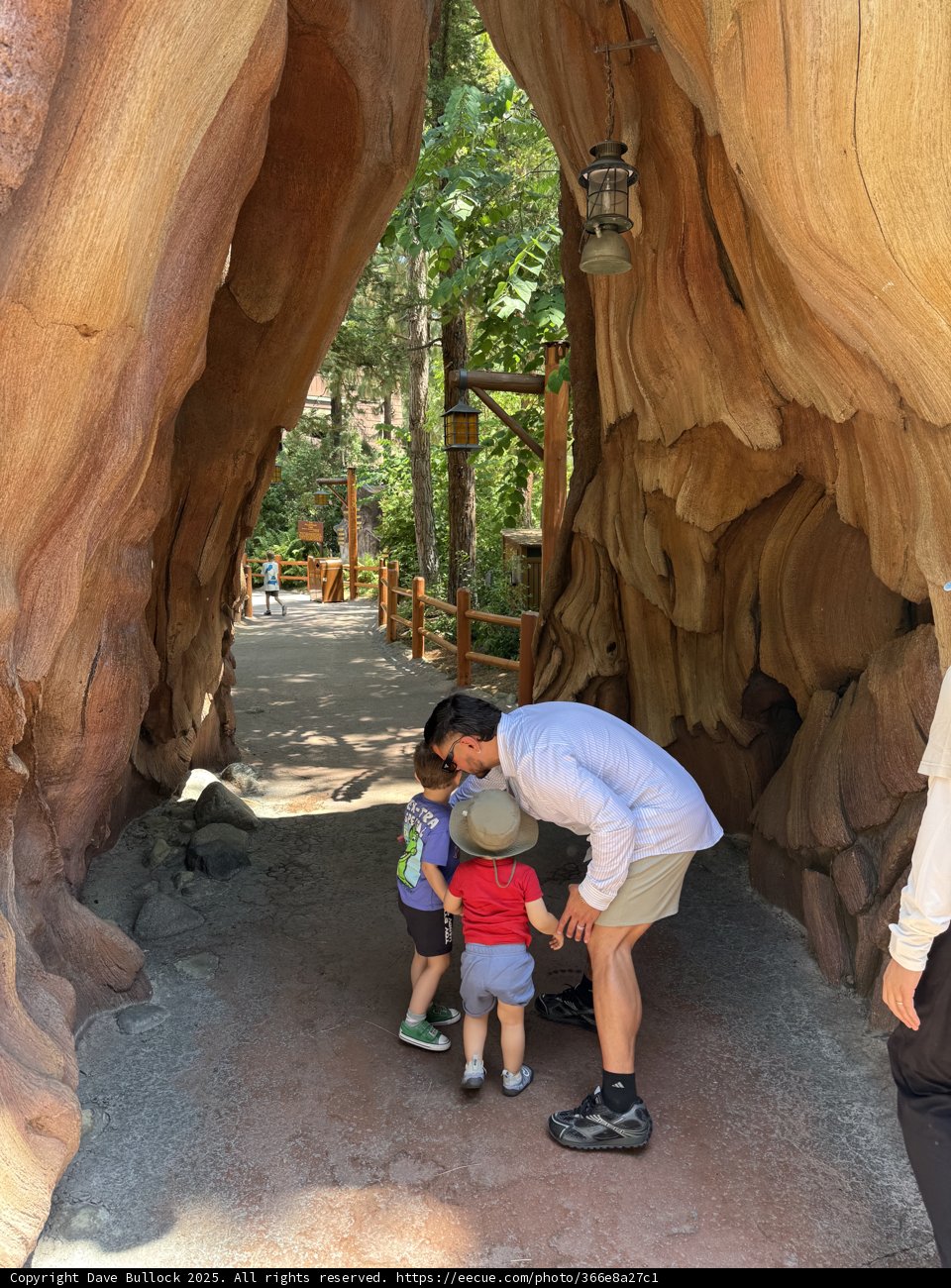 Exploring Enchanted Pathways