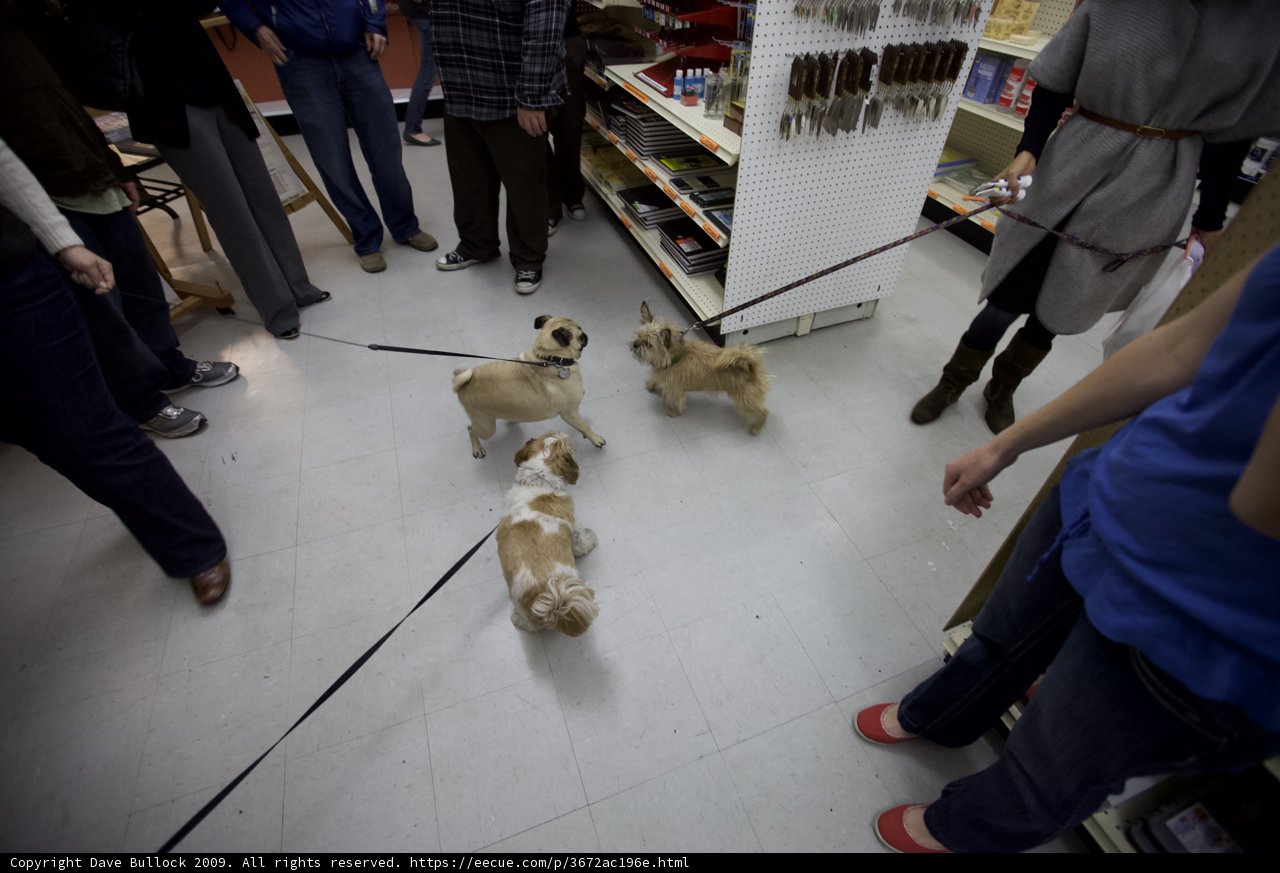 Shopping with our furry friends